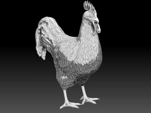 Chickens for 3d printing 3D Model
