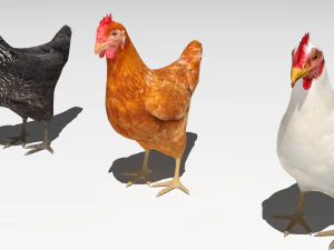 Chickens for 3d printing 3D Model