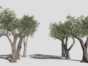 Seis olivos Modelo 3D