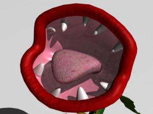 plant monster Modèle 3D