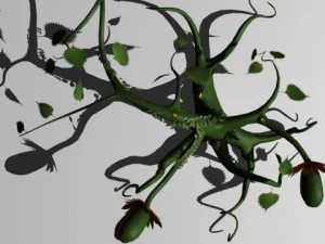 vine monster plant 3D Model