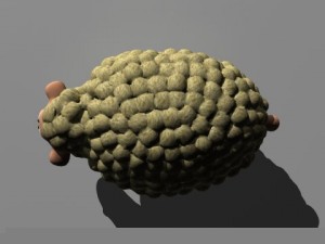 cartoon sheep 3D 모델