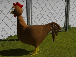 chickens in coop Model 3D