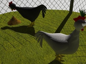 chickens in coop Model 3D