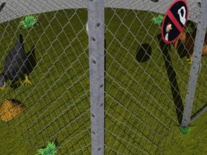 chickens in coop Model 3D