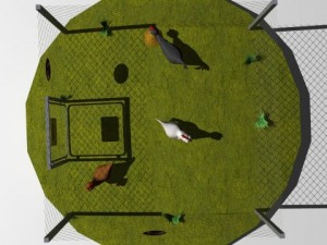 chickens in coop Model 3D