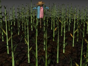 cartoon farm 3D Model