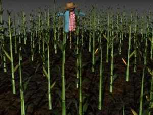 cartoon farm 3D Model