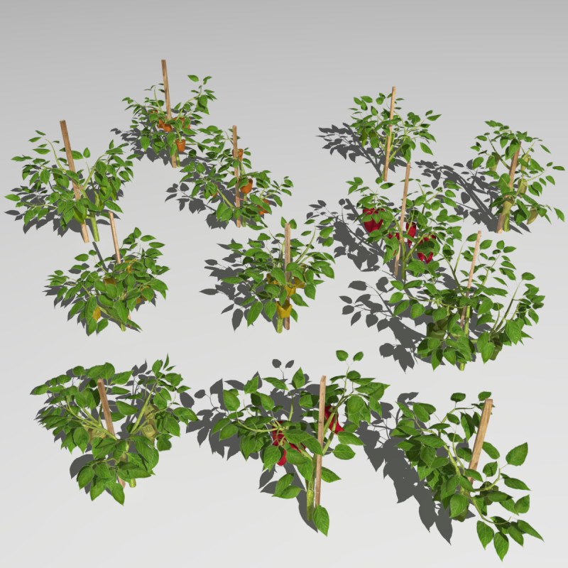 Pepper plantation 3D 模型 .c4d .max .obj .3ds .fbx .stl .blend