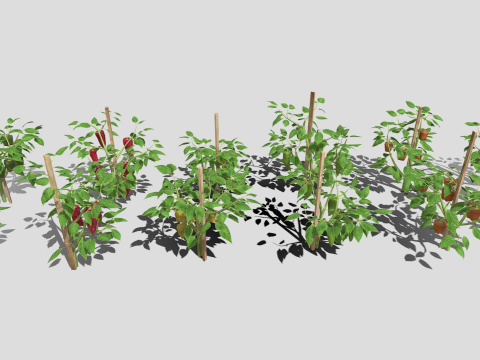 Pepper plantation 3D मॉडल