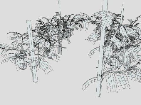 Плантація перцю 3D Модель