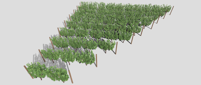 Large vineyard Modelo 3D .c4d .max .obj .3ds .fbx .stl .blend