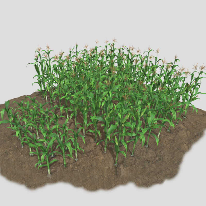 Corn field for 3d printing Modèles 3D en vedette .c4d .max .obj .3ds .fbx .stl .blend 