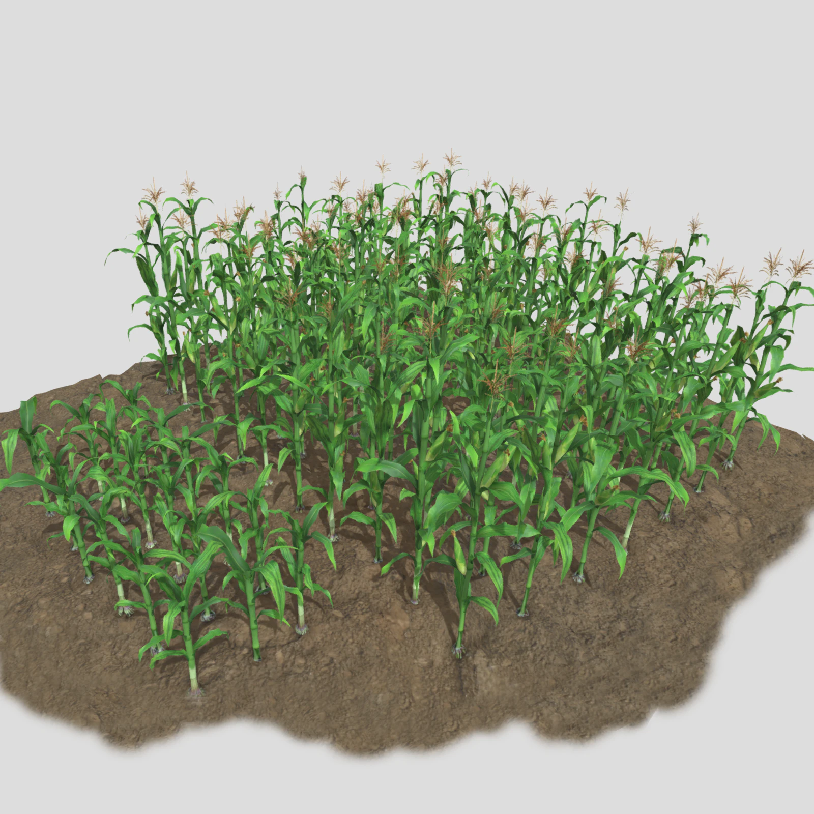 Corn field for 3d printing 3D Print Model .c4d .max .obj .3ds .fbx .stl .blend 