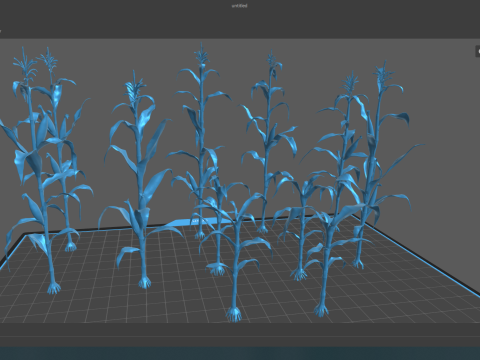 Corn field for 3d printing Modèles 3D en vedette