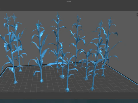 Corn field for 3d printing 3D Print Model