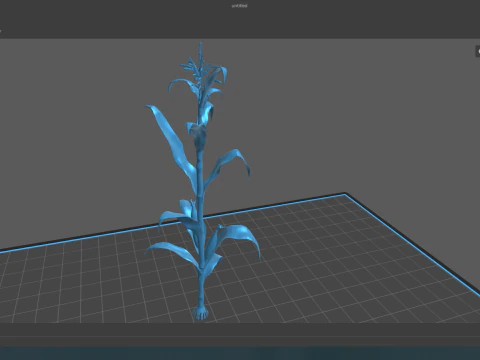 Corn field for 3d printing 3D Print Model