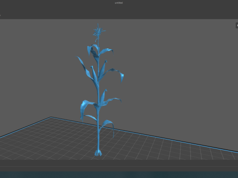 Corn field for 3d printing Modèles 3D en vedette