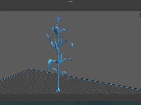 Corn field for 3d printing 3D Print Model