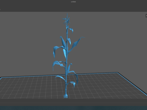 Corn field for 3d printing Modèles 3D en vedette