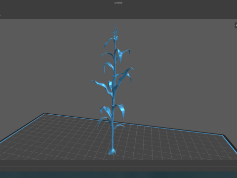 Corn field for 3d printing Modèles 3D en vedette