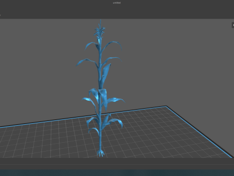 Corn field for 3d printing Modèles 3D en vedette