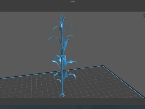 Corn field for 3d printing 3D Print Model