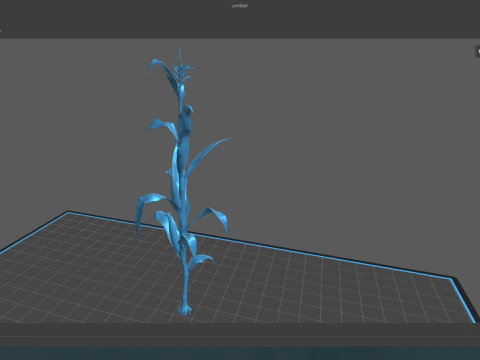 Corn field for 3d printing 3D Print Model