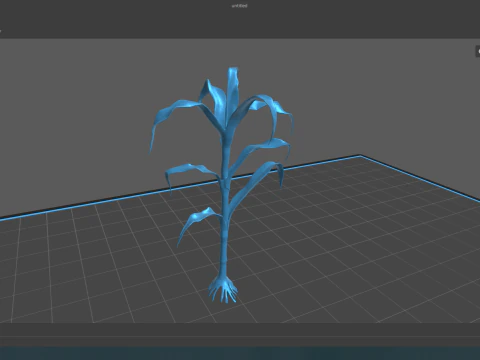 Corn field for 3d printing 3D Print Model