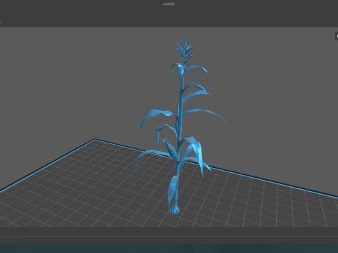 Corn field for 3d printing 3D Print Model