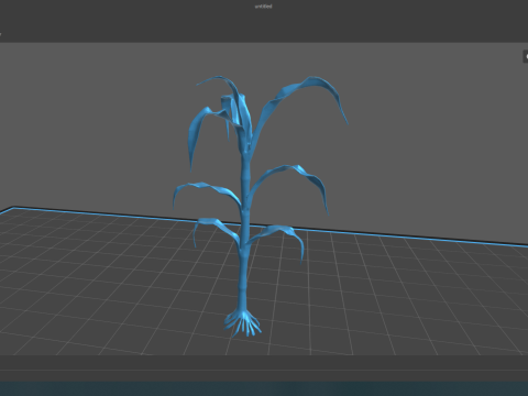 Corn field for 3d printing Modèles 3D en vedette