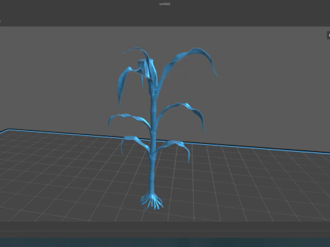 Corn field for 3d printing 3D Print Model