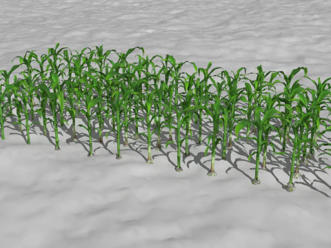 Corn field for 3d printing 3D Print Model