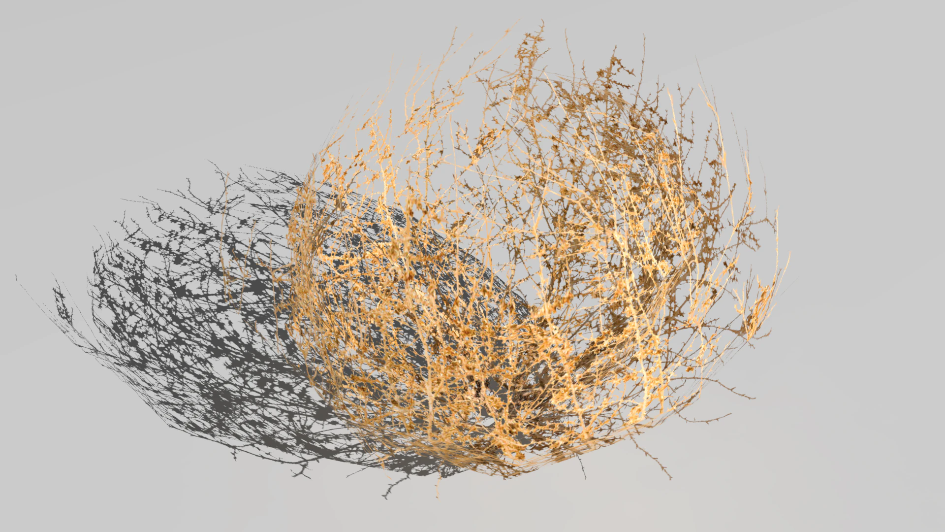 Tumbleweed Modello 3D .c4d .max .obj .3ds .fbx .stl .blend 