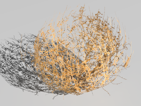 Tumbleweed 3D Model