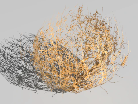 Tumbleweed 3D मॉडल