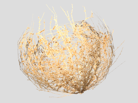 Tumbleweed 3D 模型