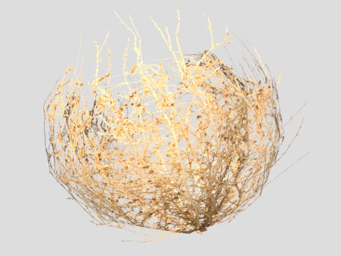 Tumbleweed Modello 3D
