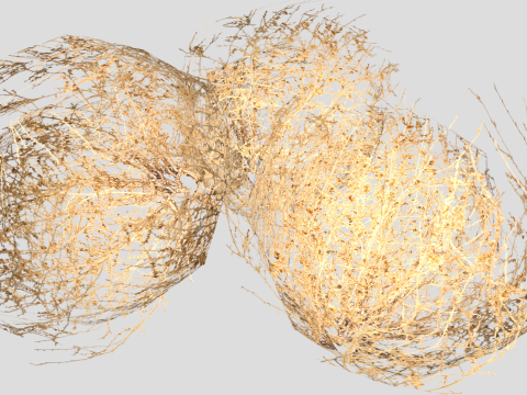 Tumbleweed 3D 模型