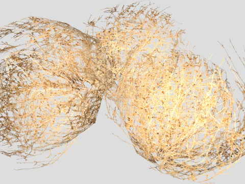 Tumbleweed Modello 3D