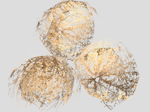 Tumbleweed 3D 模型