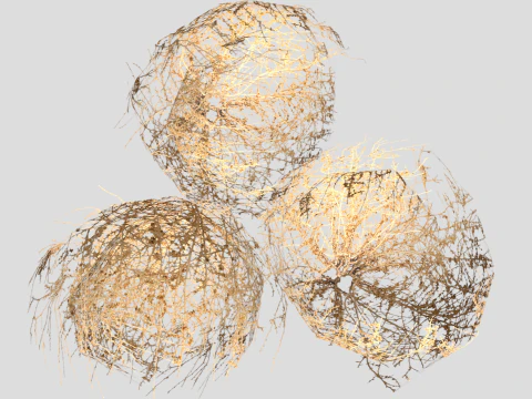 Tumbleweed Modello 3D