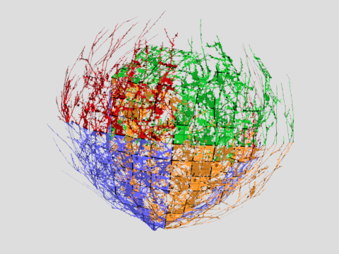 Tumbleweed 3D 模型