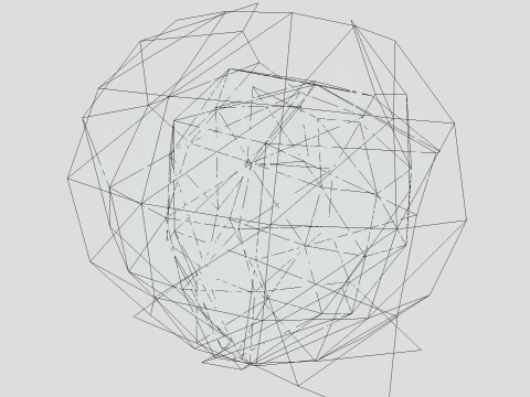 Tumbleweed Modello 3D