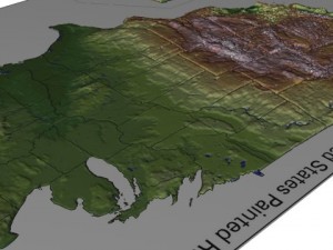 usa painted relief Model 3D