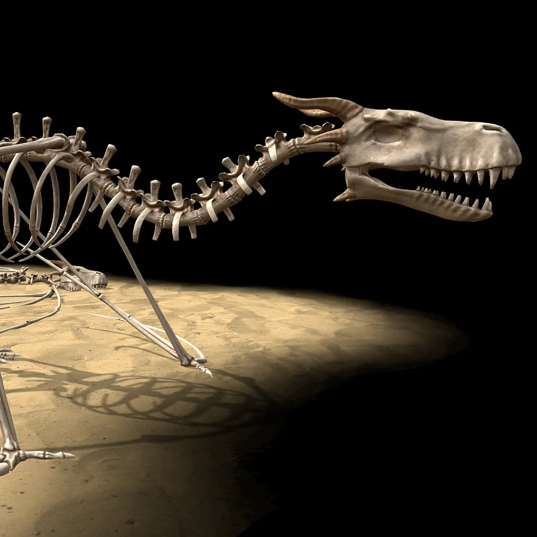 Bone Dragon 3D Model .c4d .max .obj .3ds .fbx .stl .blend 