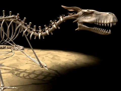 Drago d'ossa Modello 3D