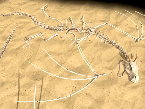 Bone Dragon 3D Model