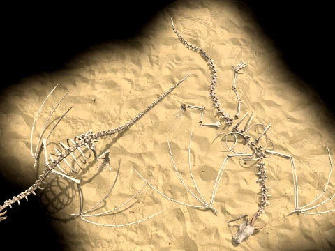 Bone Dragon 3D Model