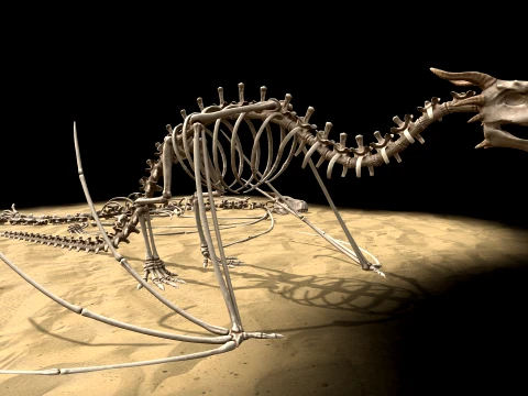 Bone Dragon 3D Model